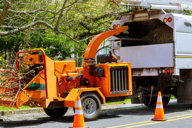 Royalton, IL Tree Services Company